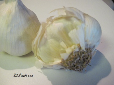 SibStudio.com garlic
